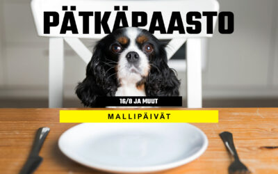 Pätkäpaasto 16 8 ja muut