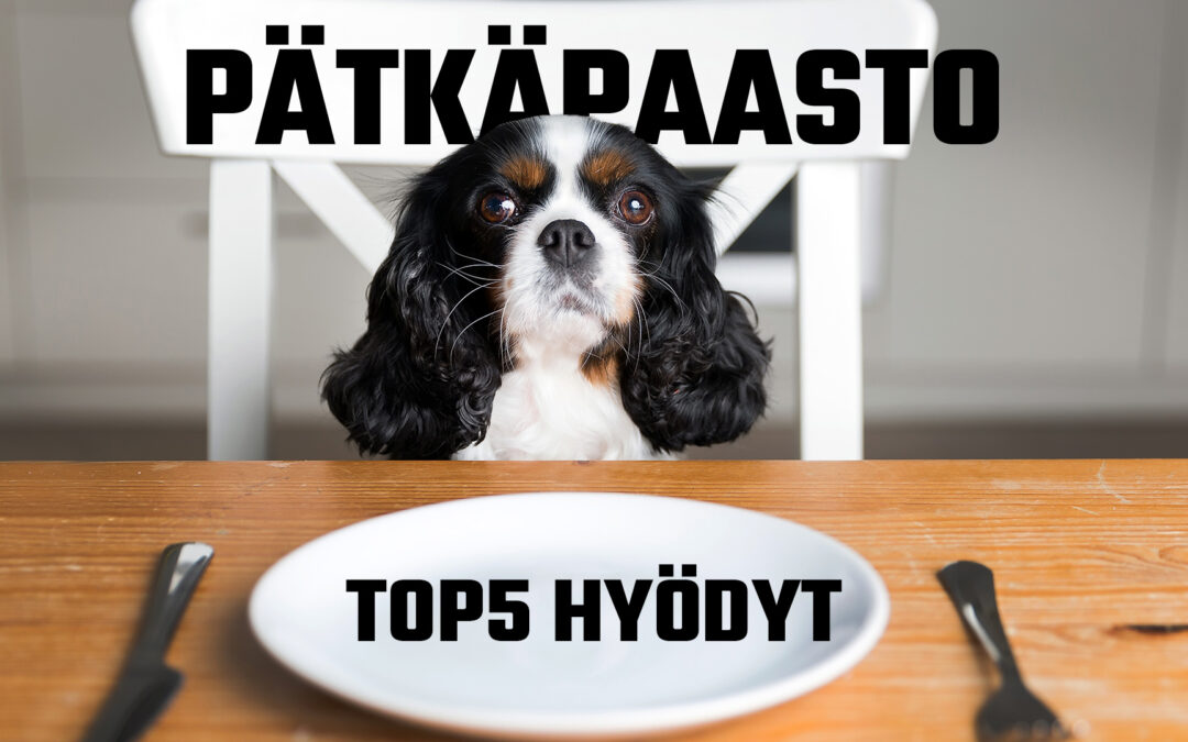 pätkäpaasto top5 hyödyt